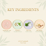 Key Ingredients