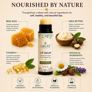 Moisturizing Lip Balm 5gm