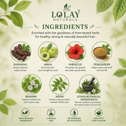Herbal Shampoo Powder 100gm