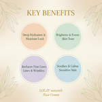Key Benefits