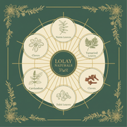 Lolay Naturals Herbal Tooth Powder – Ingredients
