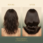 Lolay Naturals Organic Shampoo – Before & After