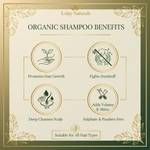 Lolay Naturals Organic Shampoo – Benefits